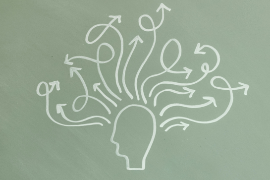 Workshops & webinars